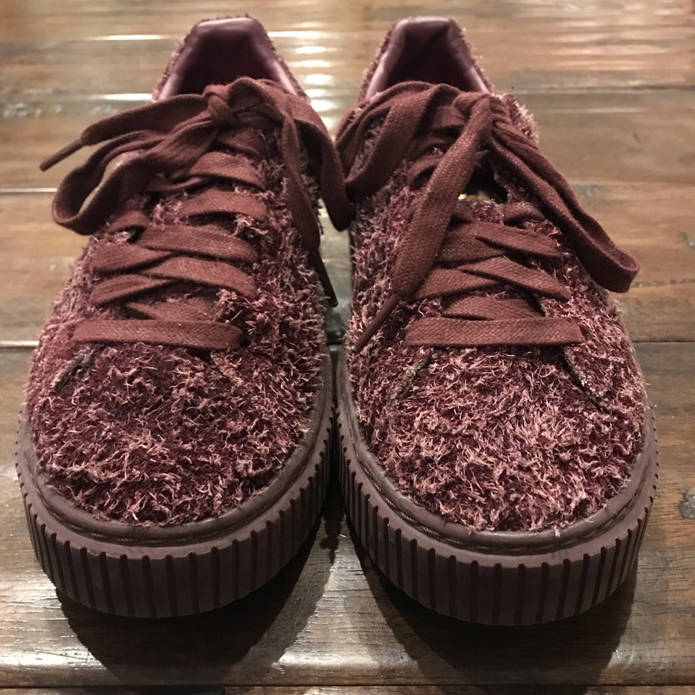 Puma creepers